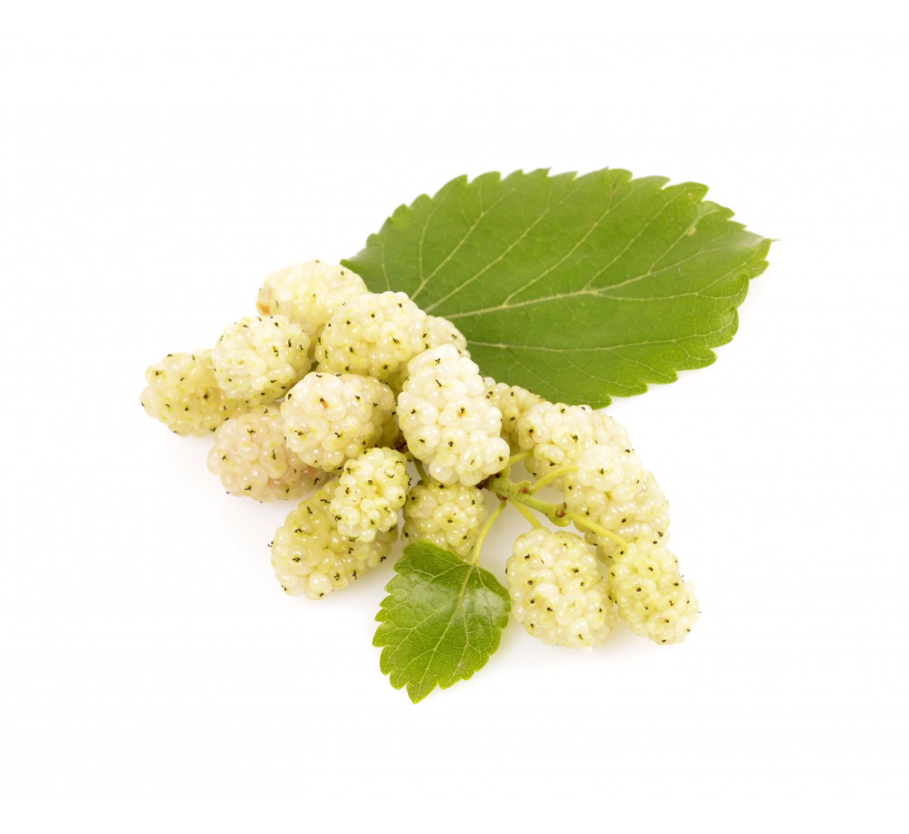 Flavour  “Mulberry“